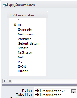 Die Stammdatentabelle über eine Abfrage ausgeben