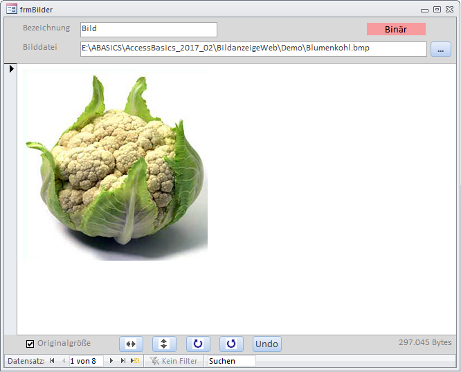 Ist ein Bild bereits eingelesen, so zeigt sich das Label Binär oben rechts