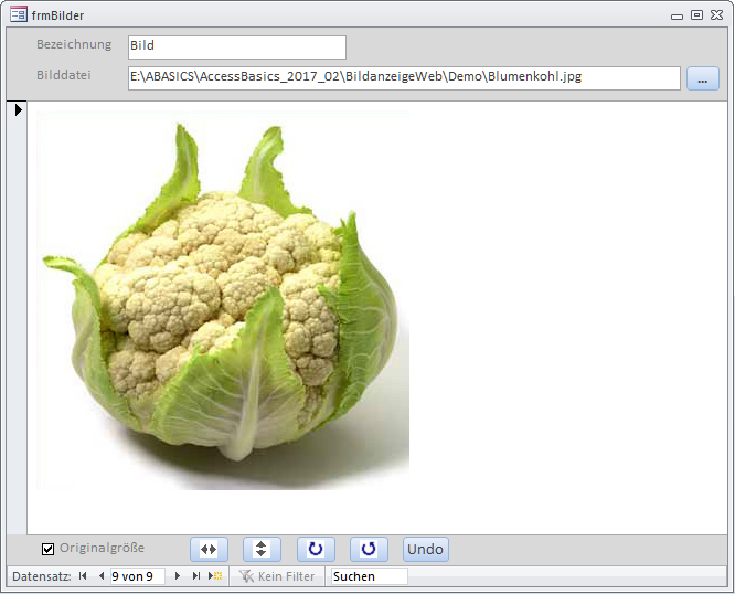 So präsentiert sich das Formular frmBilder dann zur Laufzeit