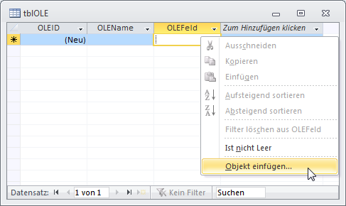 Füllen eines OLE-Feldes