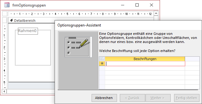 Der erste Schritt im Optionsgruppen-Assistent