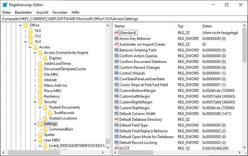 Der Bereich der Registry für die Access-Optionen