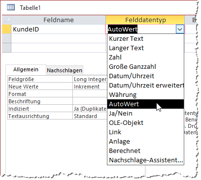 Auswählen des Felddatentyps für ein Primärschlüsselfeld