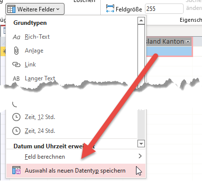 Aktivieren der Option zum Speichern neuer Datentypen
