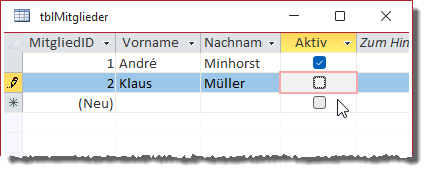 Eingabe von Daten in ein Ja/Nein-Feld