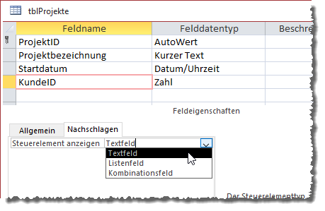 Diese Standardeinstellung sorgt für die Anzeige eines Textfeldes zur Dateneingabe.