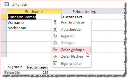 Einfügen eines neuen Feldes