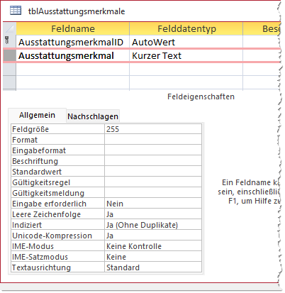 Entwurf der Tabelle tblAusstattungsmerkmale