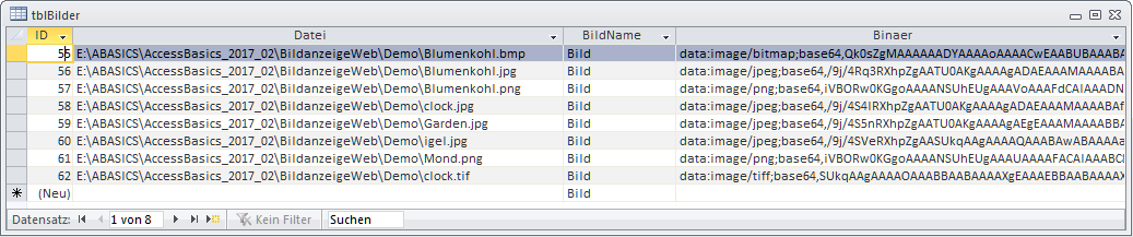 Das Memo-Feld Binaer füllt sich später beim Aufruf eines Bilds im Webbrowser des Formulars frmBilder