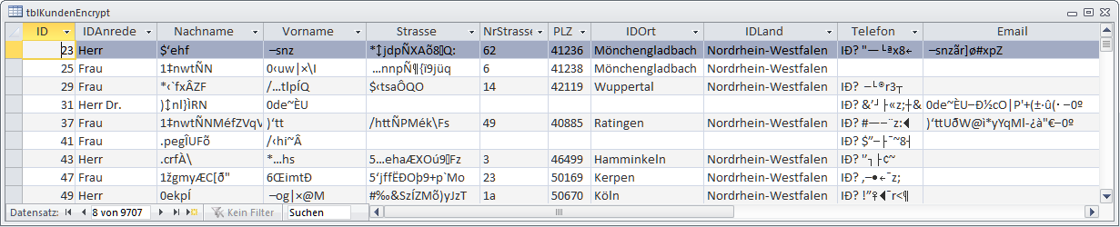 Dieselben Datensätze der verschlüsselten Kundentabelle in der Datenblattansicht